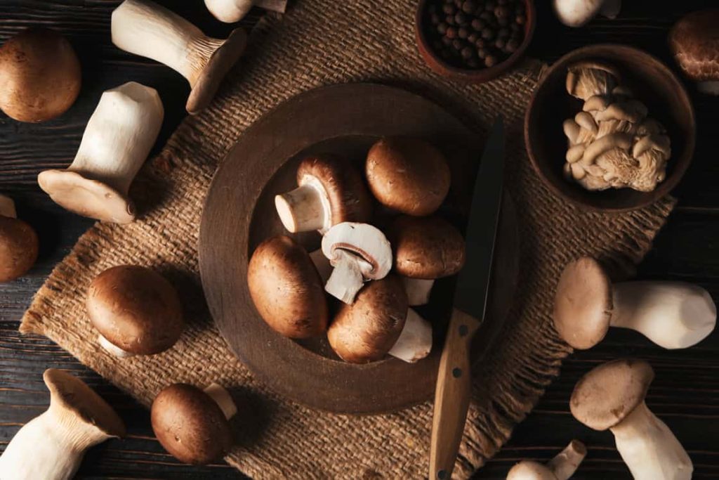 Visitar La Mandraula